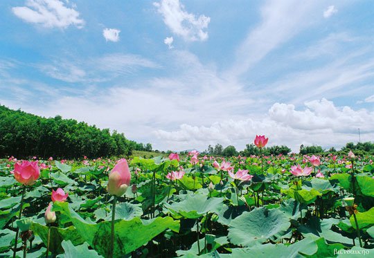 Mua Bán Máy Bộ Đàm Tại Đồng Tháp